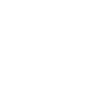 40th logo white